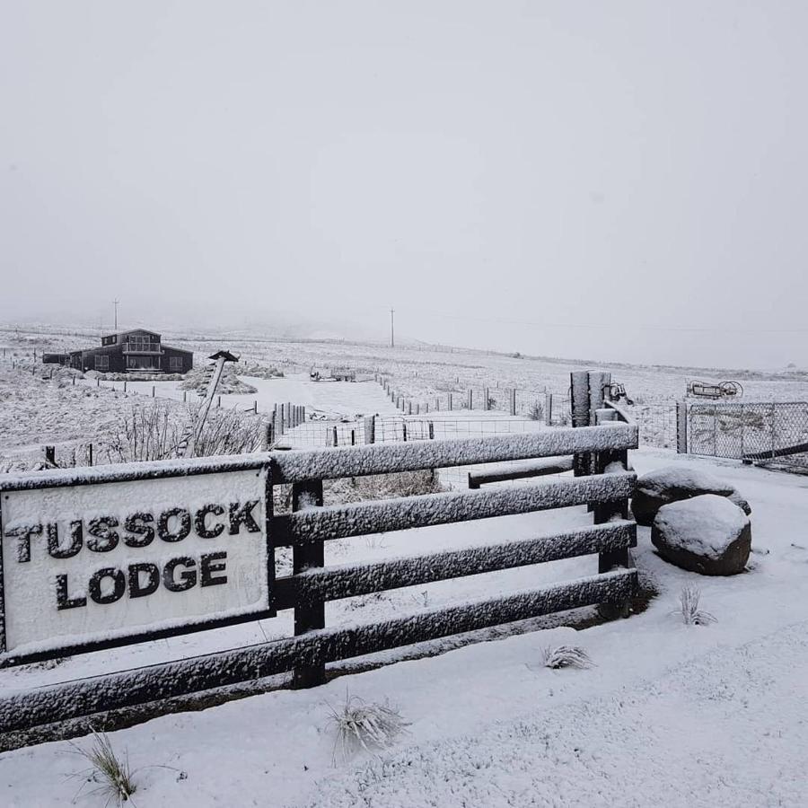 Tussock Lodge - Waipiata Exterior foto